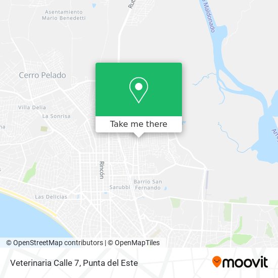 Veterinaria Calle 7 map