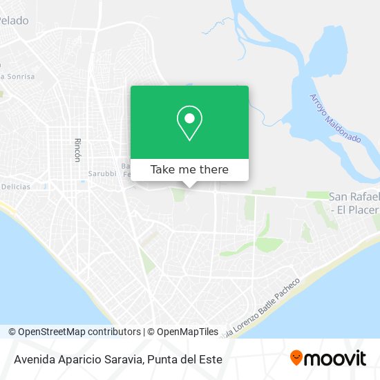 Mapa de Avenida Aparicio Saravia