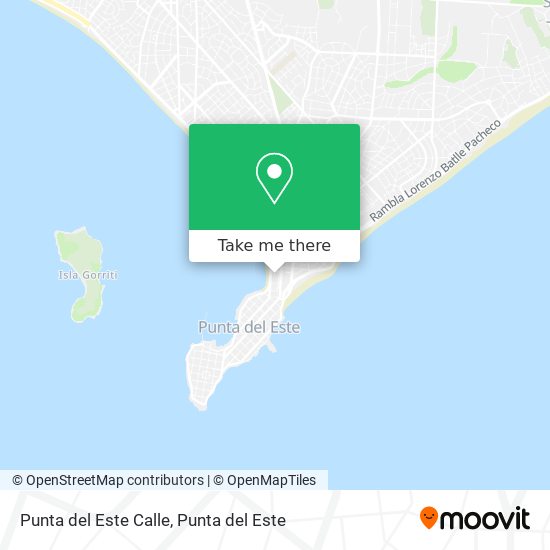 Punta del Este Calle map