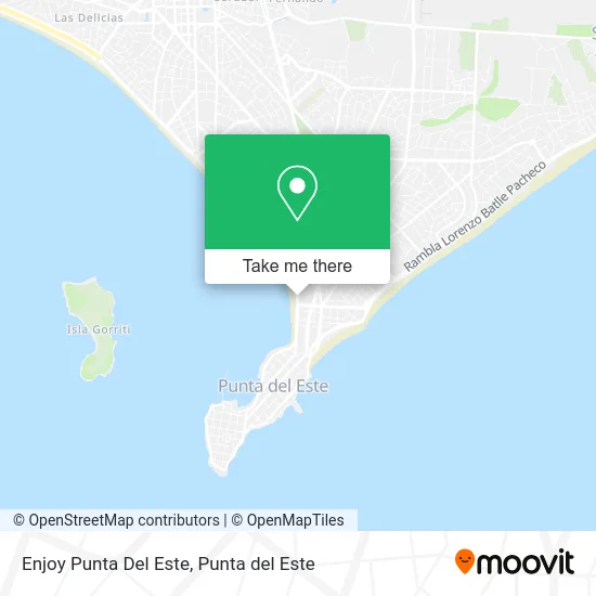 Enjoy Punta Del Este map