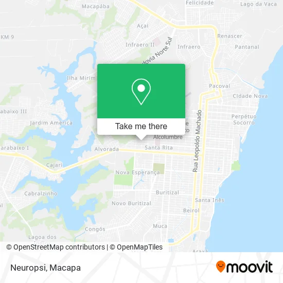 Neuropsi map