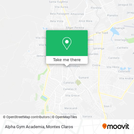 Alpha Gym Academia map