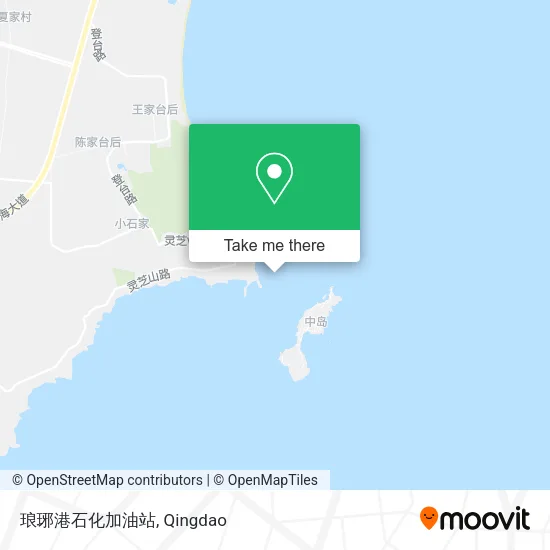 琅琊港石化加油站 map