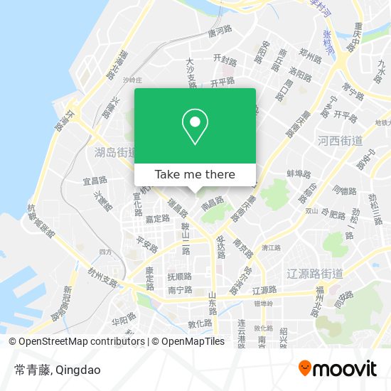 常青藤 map