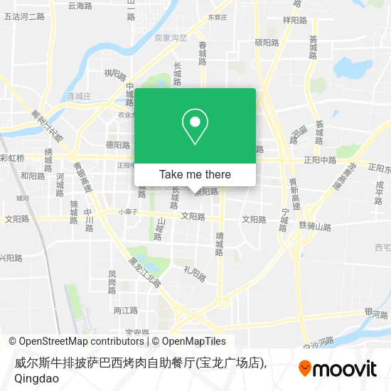 威尔斯牛排披萨巴西烤肉自助餐厅(宝龙广场店) map