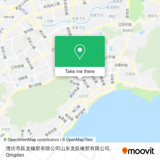 潍坊市跃龙橡胶有限公司山东龙跃橡胶有限公司 map