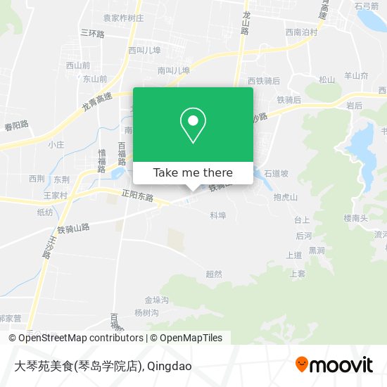 大琴苑美食(琴岛学院店) map