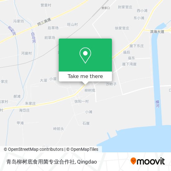青岛柳树底食用菌专业合作社 map