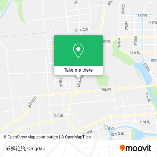 威狮轮胎 map
