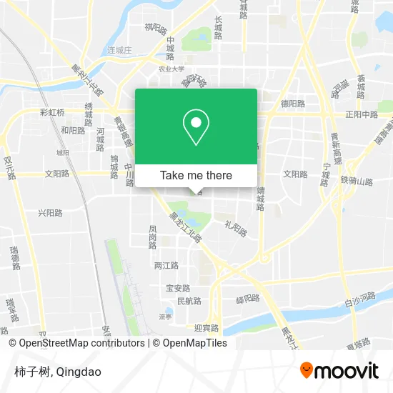 柿子树 map