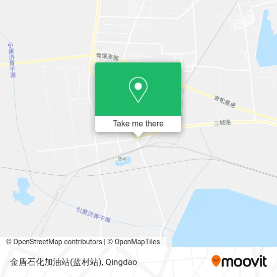 金盾石化加油站(蓝村站) map