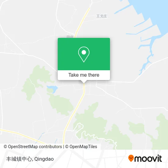 丰城镇中心 map