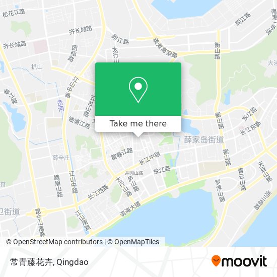 常青藤花卉 map