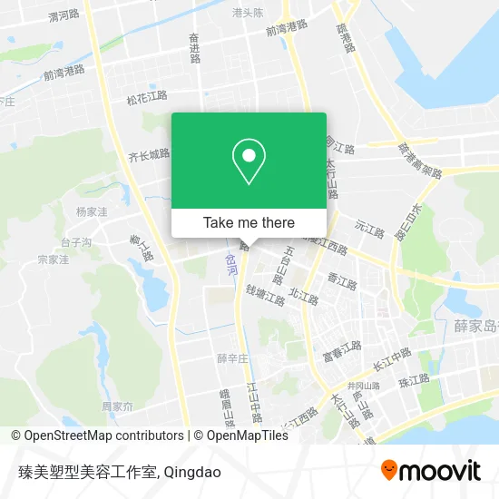 臻美塑型美容工作室 map