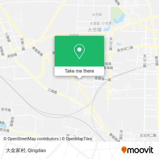 大金家村 map