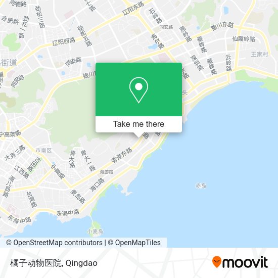 橘子动物医院 map