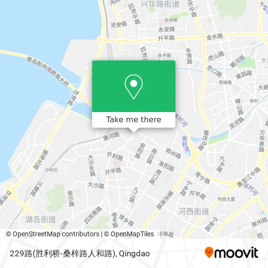 229路(胜利桥-桑梓路人和路) map