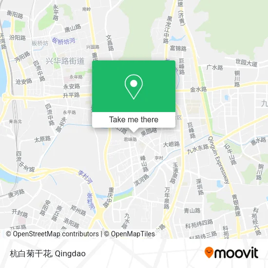 杭白菊干花 map