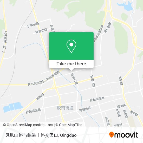凤凰山路与临港十路交叉口 map