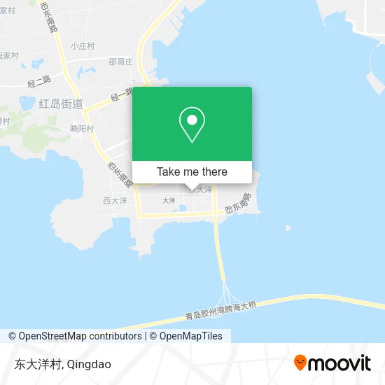 东大洋村 map