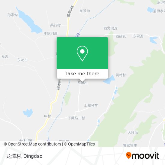 龙潭村 map