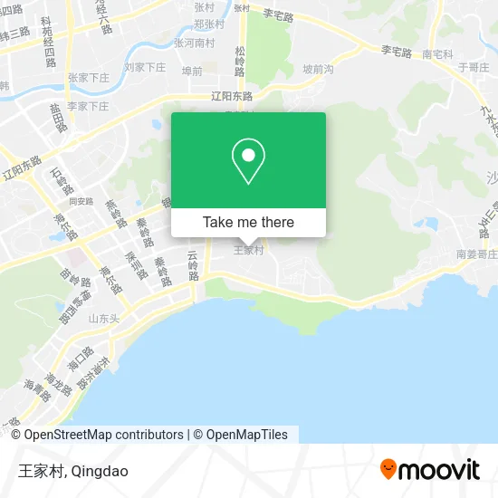 王家村 map