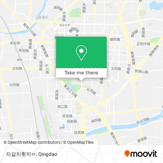 자갈치횟지ㅂ map