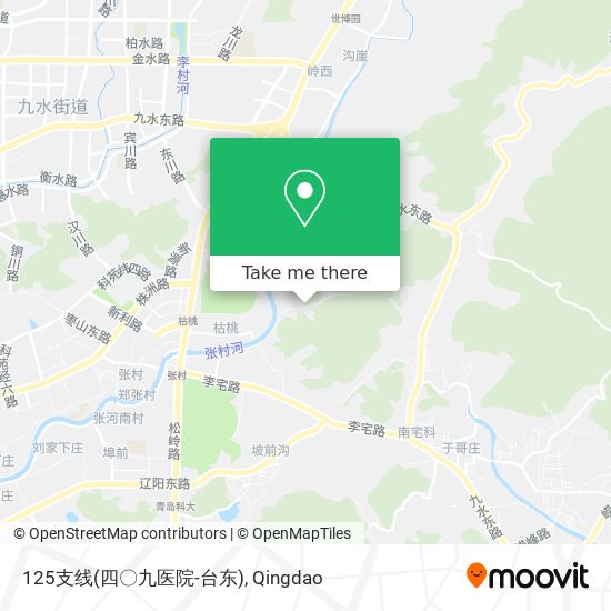 125支线(四〇九医院-台东) map