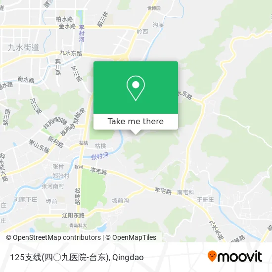 125支线(四〇九医院-台东) map