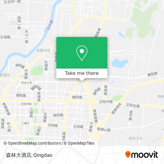 森林大酒店 map