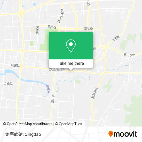 龙宇武馆 map