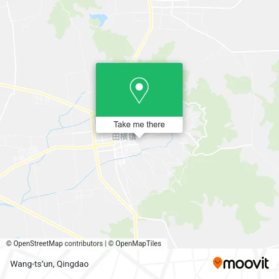 Wang-ts’un map