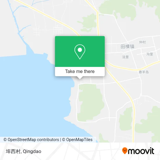 埠西村 map