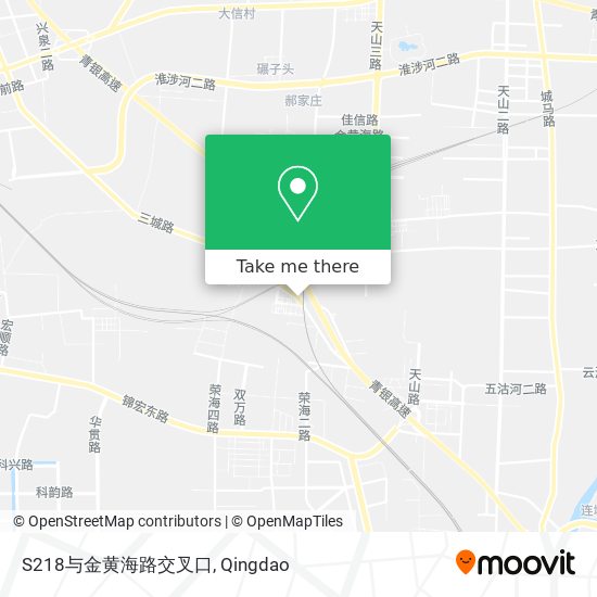 S218与金黄海路交叉口 map