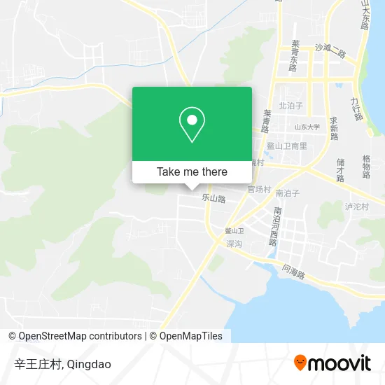 辛王庄村 map