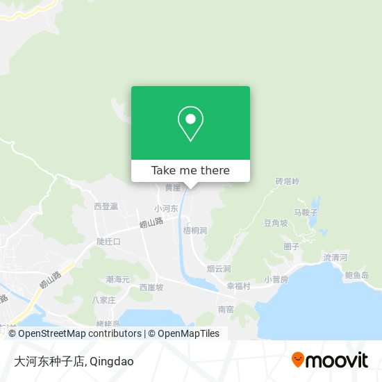 大河东种子店 map