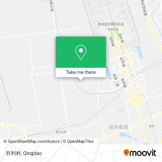 胜利村 map