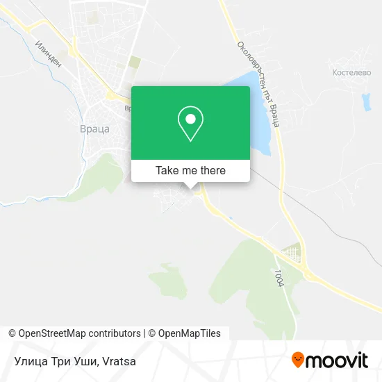 Карта Улица Три Уши