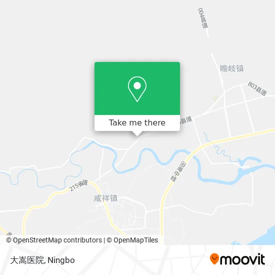 大嵩医院 map