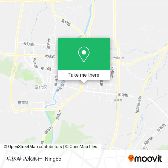岳林精品水果行 map