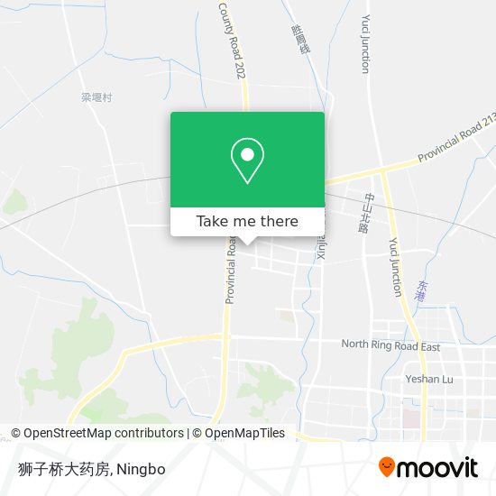 狮子桥大药房 map