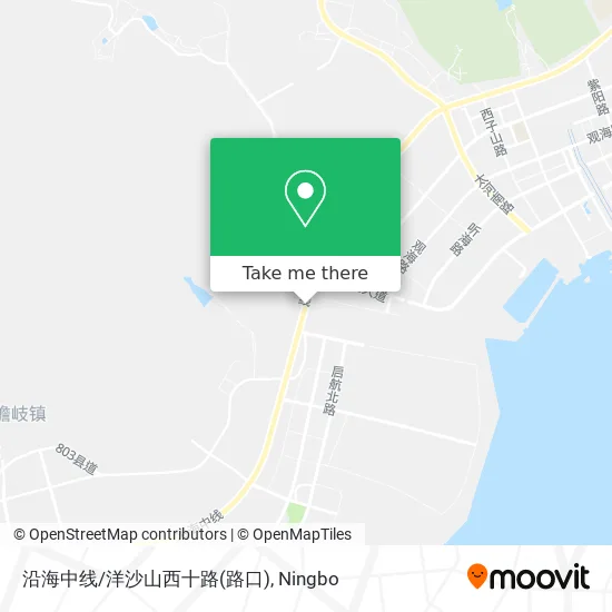 沿海中线/洋沙山西十路(路口) map