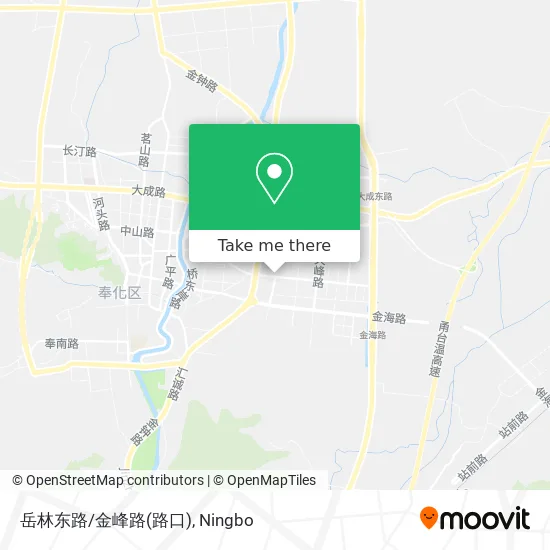 岳林东路/金峰路(路口) map