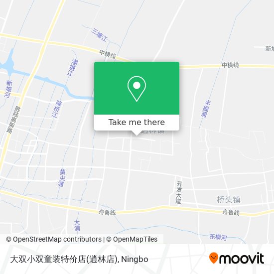 大双小双童装特价店(逍林店) map