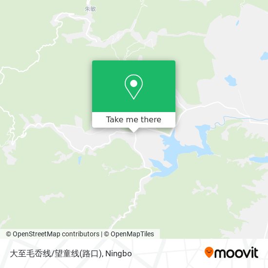 大至毛岙线/望童线(路口) map