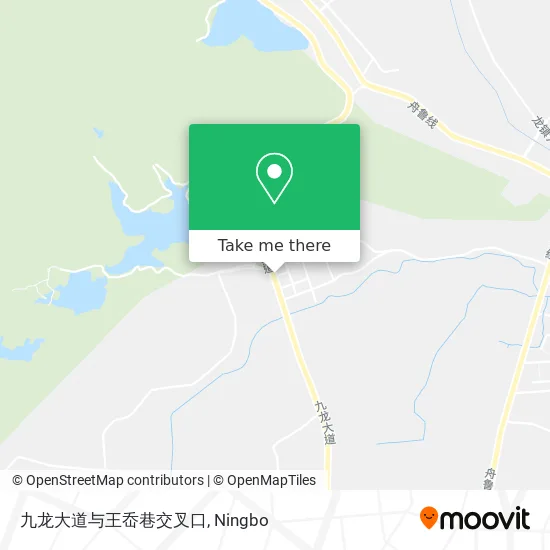 九龙大道与王岙巷交叉口 map