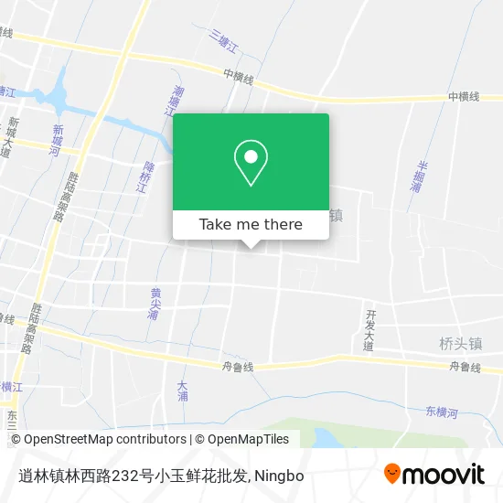 逍林镇林西路232号小玉鲜花批发 map
