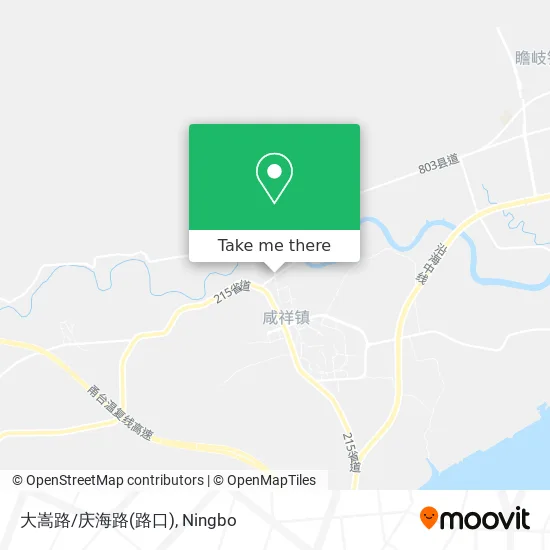 大嵩路/庆海路(路口) map