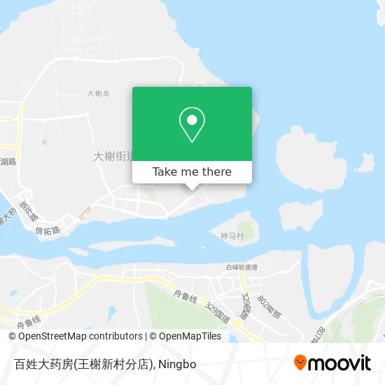 百姓大药房(王榭新村分店) map