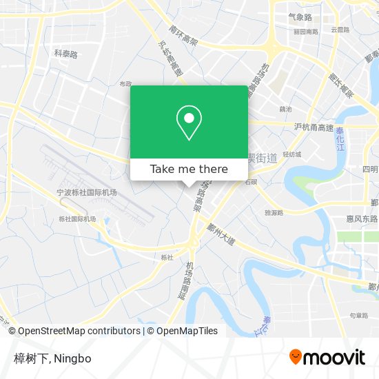 樟树下 map